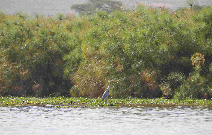 wpec8b048a_0f.jpg